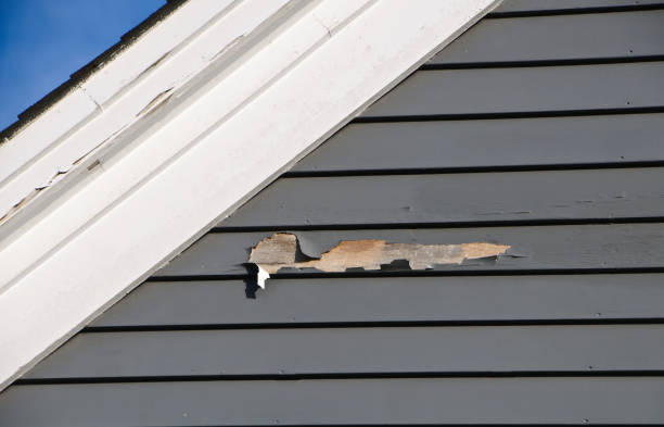  Big Bear Lake, CA Siding Installation Pros